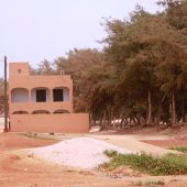 Les Niayes, nouvelle terre de paysans sans terre