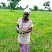 Saré Wogna ou la vallée des irrégularités foncières